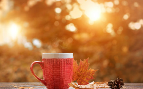 秋の木漏れ日と温かいお茶